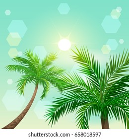 Tropical palm trees and sun in zenith. Paradise landscape vector illustration