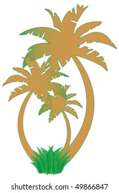 Tropical palms