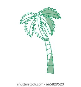 tropical palms design