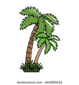 tropical palms icon