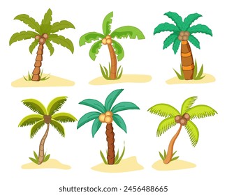 tropical palms. Palms set isollated on the white background vector illustration Eps10