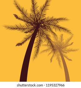 tropical palms tree yellow background