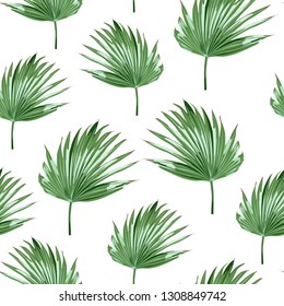 Tropical palms, white background. Seamless pattern. Jungle foliage illustration. Exotic palm leaves. Summer beach floral design. Paradise nature.