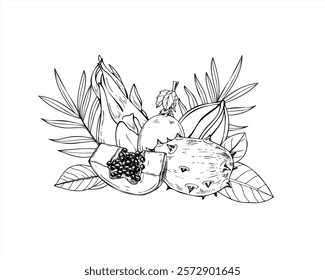 Tropical papaya, kiwano, carambola, guava, pitaya fruits among leaves hand drawn composition painted by black inks. Sweet whole and sliced plant ready to health eat graphic sketch illustration..