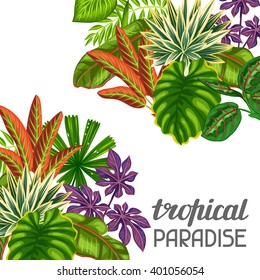 Tropical paradise card with stylized plants and leaves. Image for advertising booklets, banners, flayers.