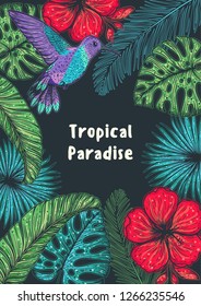 Tropical paradise. Tropical design template. Hello summer frame. Hummingbird, palm leaves and flowers vector illustration. Summer design. 