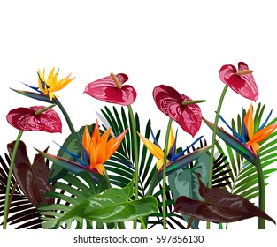 Tropical paradise. Tropical forests among exotic foliage, vines, flowers.South America, Central Africa, Southeast Asia and Australia
Monsoon forests.Vector banner .