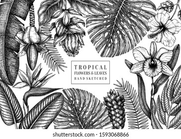 Tropical paradise frame design. With hand drawn exotic flowers and palm leaves sketches. Tropical wedding invitation or card template.  Exotic plants vintage background. Vector botanical illustration.