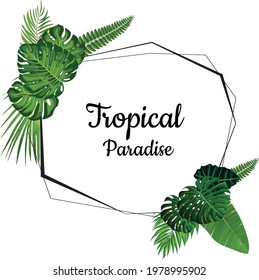 tropical paradise frame with leaves - banana, taro and palm leaves - vector frame leaves high resolution