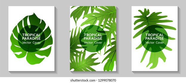 Tropical paradise leaves vector covers set. Cool floral A4 page design. Exotic tropic plant leaf vector. Summer flyer template. Tropical forest plant foliage, circle frame, title place.