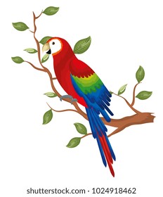 tropical parrot in branch tree