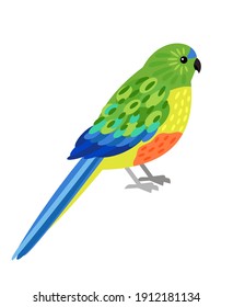 Loro tropical. Caricatura hermosa de australiano volador, pájaro con hermosas plumas coloridas, ilustración vectorial de loro dorado aislado en fondo blanco