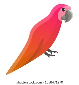 Tropical parrot icon. Cartoon of tropical parrot vector icon for web design isolated on white background