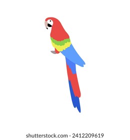 Tropical parrot icon on white background.