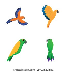 Iconos de loros tropicales establecen el vector de caricatura. Un pájaro exótico. Selva y fauna silvestre de los bosques tropicales