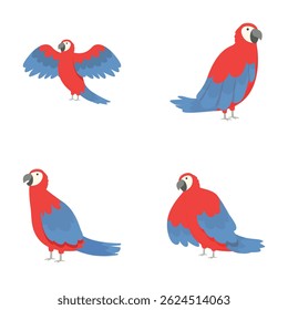 Tropical parrot icons set cartoon vector. Adult colorful parrot macaw. Bright bird