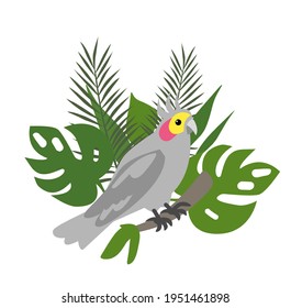 tropical parrot on a background of leaves