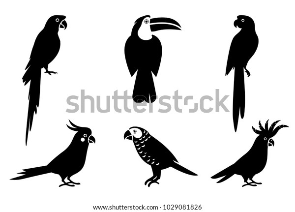 羽と翼を持つ熱帯のオウムセット 黒いシルエットオウム エキゾチックな鳥のオウムのイラスト ペットの鳥のコレクション のベクター画像素材 ロイヤリティ フリー