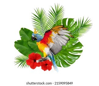 A tropical parrot sits on a palm tree branch with a hibiscus flower. Mostera leaf behind. Isolated bird illustration on white background.