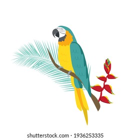 Tropical parrot yellow-blue Macaw sits on a branch with a flower of Heliconia. Tropical plants and parrots. Vector illustration on a white background