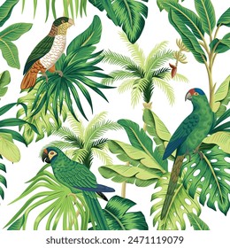 Tropical parrots, bird, banana tree, green palm leaves floral seamless pattern white background. Exotic jungle wallpaper.