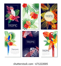 Tropical parrots cards set of six vertical posters with leaves birds and decorative artwork with text vector illustration