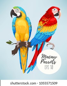 Tropical parrots collection