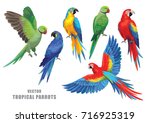 Tropical parrots collection. Vector isolated elements on the white background.