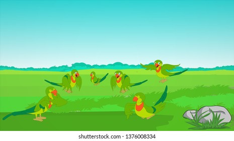 Tropical parrots collection. Vector isolated elements on the green background. - Vector 
