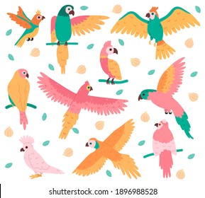 Tropical parrots. Jungle colorful birds, cute cockatoo, jaco and budgerigar. Summer tropical parrots vector illustration set. Beautiful wild flying and sitting creatures with feather