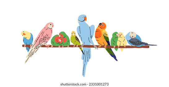 Tropical parrots on perch. Exotic birds row sitting together on branch. Multicolored jungle paradise birdies, parakeets on twig. Colored flat graphic vector illustration isolated on white background