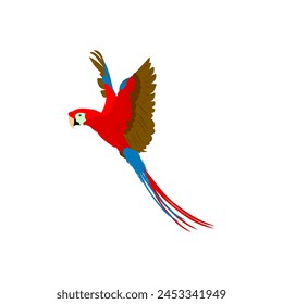 Tropical parrots. Vector isolated elements on the white background.