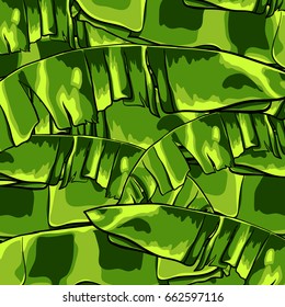 tropical pattern with banana leaves. Vector illustration.