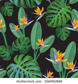 Tropical pattern with bird of paradise flowers. Vector seamless texture.