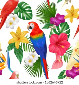 Tropical pattern. Exotic flowers and birds colored beautiful amazonian parrots vector floral seamless background