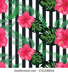 Patrón tropical. Flores y hojas tropicales para tu diseño. Hibiscus, hojas de monstera, hojas de palma. Patrón transparente