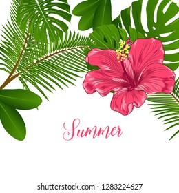 Tropical pattern with green exotic leaves and orange paradise flower of hibiscus.