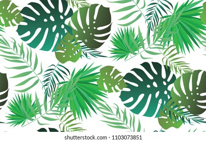 tropical pattern of green leaves