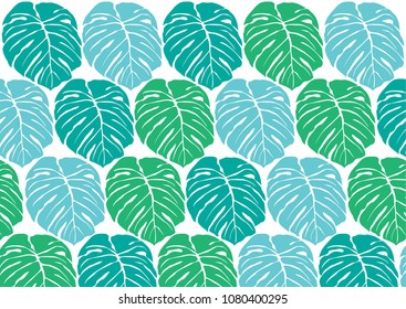 tropical pattern with green monstera leaves on white background design - Tropical Climate, Palm Tree, Wallpaper - Decor, Plant, Summer