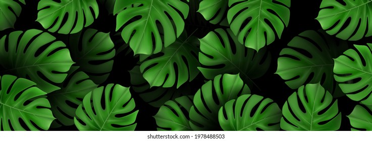 Tropical pattern with green monstera palm leaves on dark background. Exotic hawaiian fabric design. Design for banner. vector.