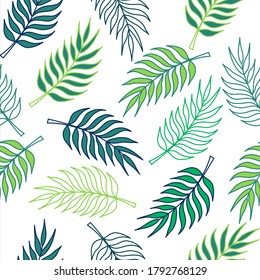 Tropical pattern with green palm tree leaves on white background. Great for wallpaper, backgrounds, invitations, packaging, design projects, textile scrapbooking