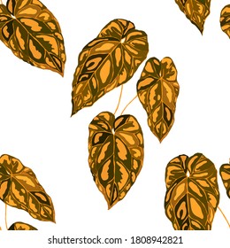 Patrón tropical. Impresión veraniega exótica de la jungla. Hoja tropical de verano. Patrón de la moda de las flores tropicales. Ilustración con tropismo floral. Patrón veloz. Hermosa huella con hojas tropicales.