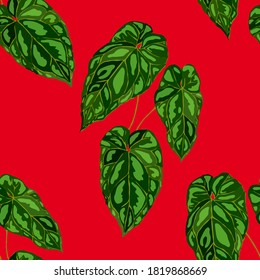 Tropical pattern. Jungle exotic summer print. Summer tropical leaf. Tropical flower fashion pattern. Floral tropic illustration. Vector seamless pattern. Beautiful print with tropical leaves.