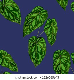Tropical pattern. Jungle exotic summer print. Summer tropical leaf. Tropical flower fashion pattern. Floral tropic illustration. Vector seamless pattern. Beautiful print with tropical leaves.