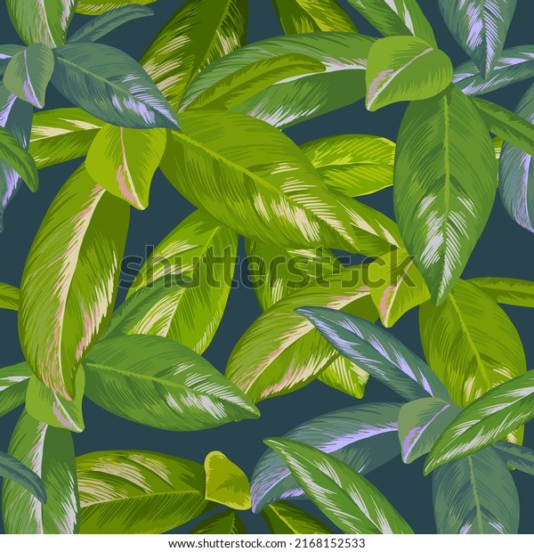 Tropical pattern with madder\
family leaves. The Rubiaceae plant on dark blue background. Ficus\
tree leaf
