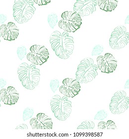 Tropical pattern with monstera leaves. Endless background with contour stroke tropic leaves. Summer seamless pattern with floral elements on white backdrop.