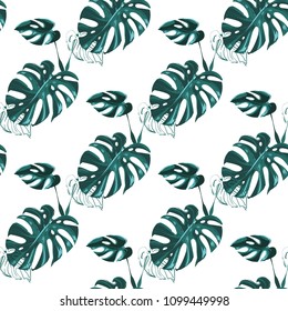 Tropical pattern with monstera leaves. Vintage square watercolor print with tropic leaves. Summer seamless pattern background with floral elements on white backdrop.