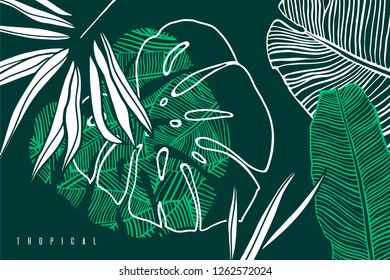 
Tropical pattern with palm tree leaf, banana  and monstera leaves. Hand drawn tropic foliage. Exotic green background.