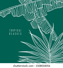 Tropical pattern with palm tree leaf and banana leaves. Beach vacation, tropical climate. Icon, label, sign, illustration with linear drawings for travel, tour, travel agency. Hand drawn foliage.