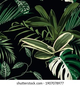 Tropical pattern, palm tree leaves and exotic plant  seamless border on black background. Exotic jungle wallpaper.